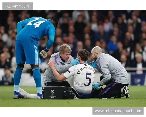 英超考虑引入脑震荡换人新规，胡萨诺夫事件引发讨论